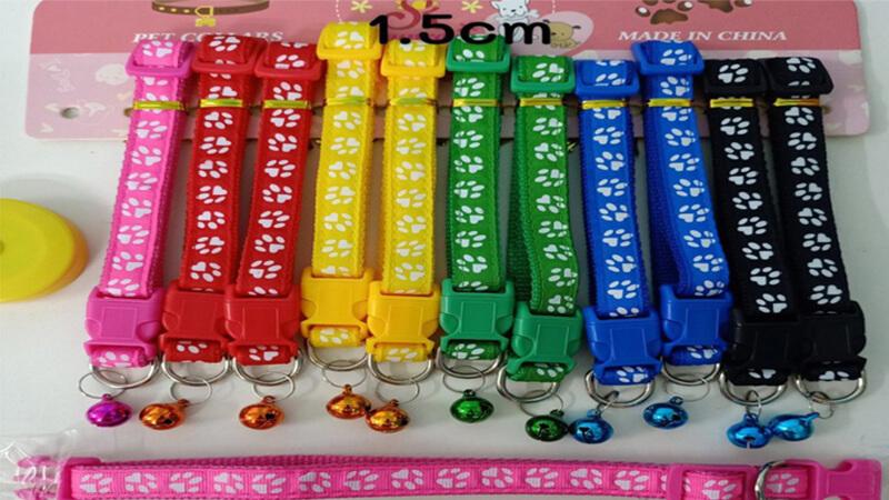 Khám phá 10 mẫu vòng cổ cho mèo tốt nhất hiện nay