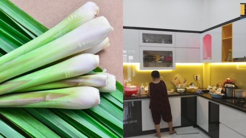 Chỉ với 5.000 đồng, bạn đã có thể làm sạch mùi khó chịu ở mọi ngóc ngách trong nhà.