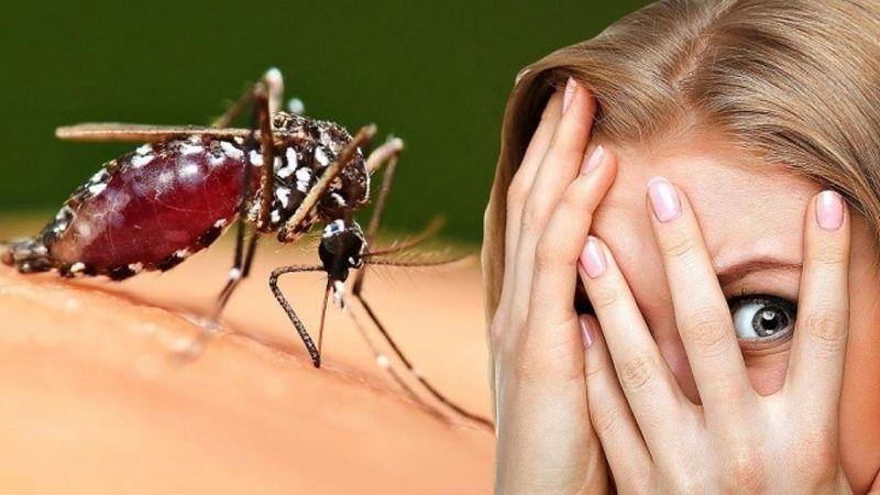 Vì sao có những người lại thường xuyên bị muỗi đốt? Liệu có phải vì 'mùi cơ thể hấp dẫn' hay 'máu ngọt' của họ?