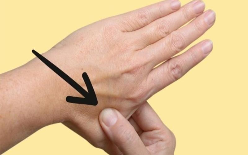 13 phương pháp hiệu quả giúp chấm dứt say xe ngay lập tức, dù say đến đâu cũng nhanh chóng cảm thấy dễ chịu.
