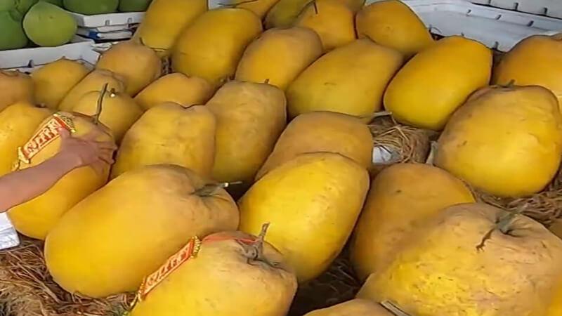 Trái kỳ đà, một loại quả quen thuộc của miền Bắc, lại mang một tên gọi khác khi xuất hiện tại miền Nam, tạo nên sự phong phú trong cách gọi tên giữa hai vùng miền.