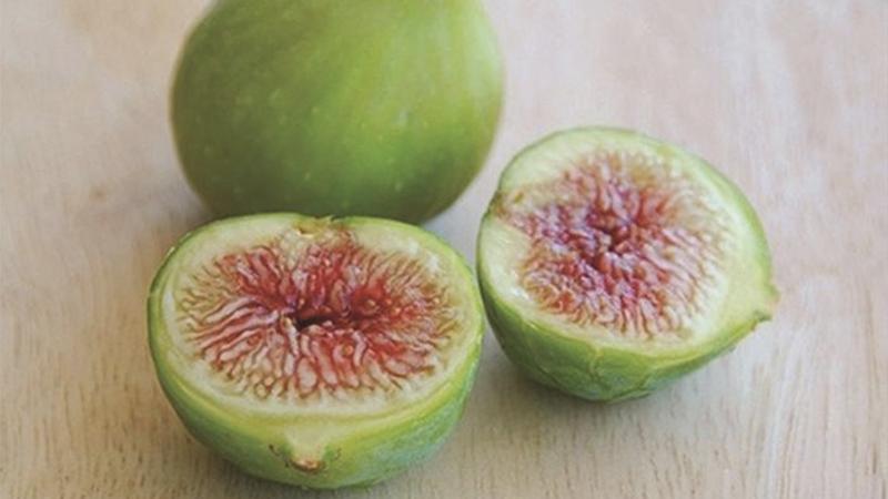 Liệu quả sung có thể giúp chữa trị cơn đau dạ dày hay không? Hãy cùng khám phá khả năng chữa bệnh tự nhiên từ loại quả quen thuộc này.