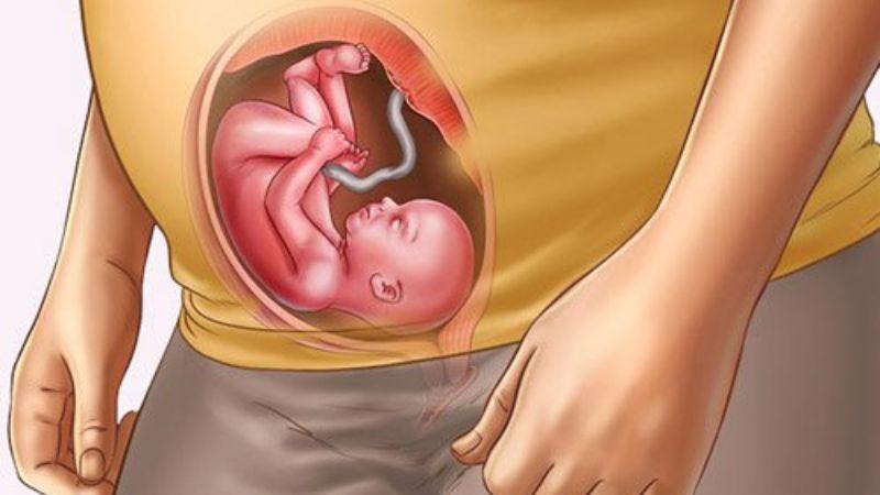 4 câu hỏi mẹ bầu không thể bỏ qua khi thăm khám bác sĩ trong những tháng cuối thai kỳ