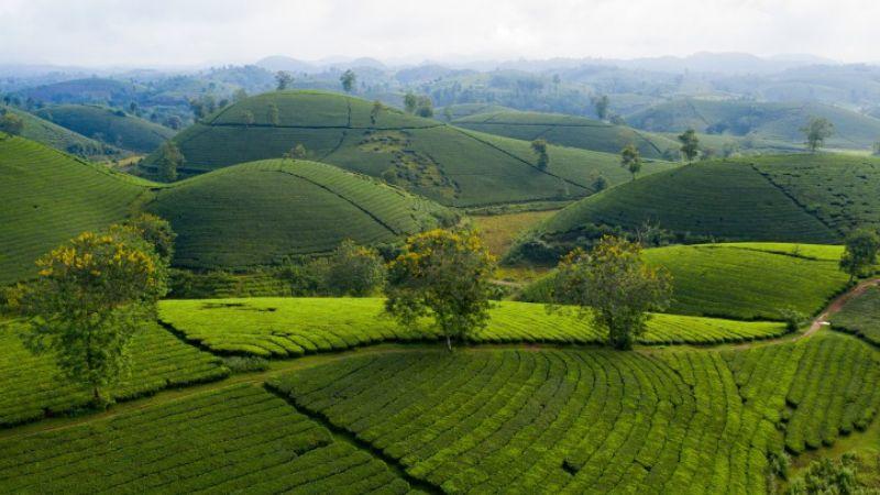 Khám phá những địa điểm du lịch nổi bật tại Thành Sơn (Phú Thọ) qua 5 điểm đến được yêu thích nhất.