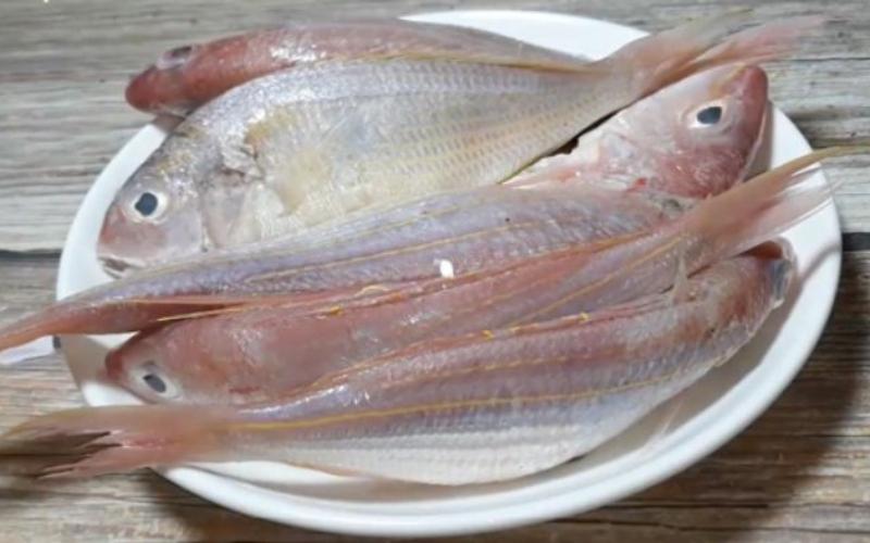 Cá thèn đỏ là loài cá đặc trưng, mang đến một sự hấp dẫn riêng trong ẩm thực. Bạn có bao giờ thắc mắc về cá thèn đỏ, nguồn gốc, nơi mua và giá của chúng? Hãy cùng khám phá những món ăn ngon được chế biến từ cá thèn đỏ này!