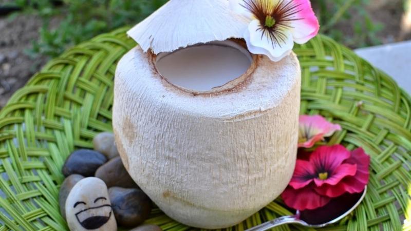Khám phá 2 công thức làm rau câu dừa nguyên trái thơm ngon, mát lạnh cho những ngày hè oi ả