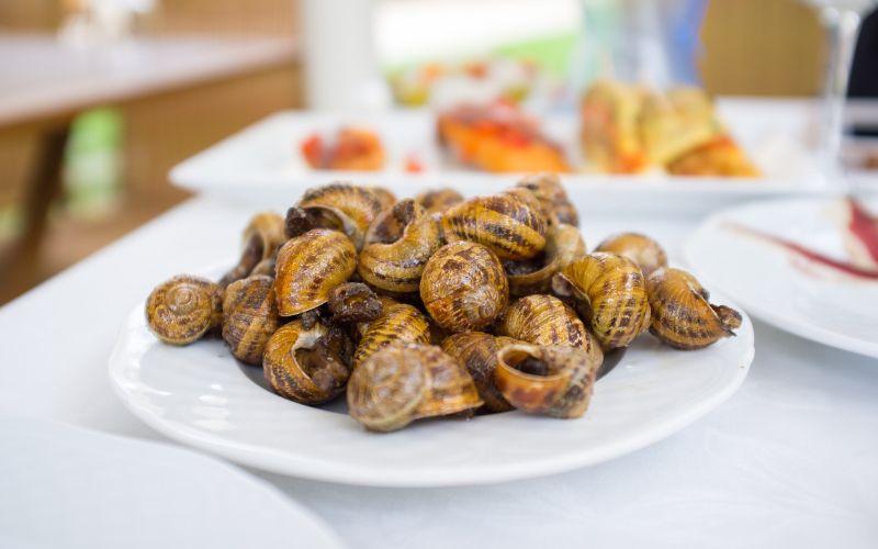 Liệu việc mẹ bầu ăn ốc có thật sự khiến con sinh ra bị chảy nhiều nước dãi? Cùng tìm hiểu sự thật về quan niệm này.