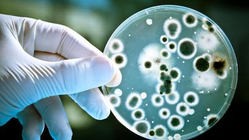 Phenoxyethanol là gì? Công dụng của nó trong mỹ phẩm là gì?