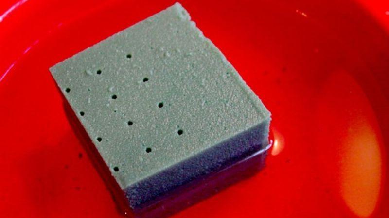 Chia sẻ cách ngâm xốp cắm hoa để hoa tươi lâu và giữ được vẻ đẹp tự nhiên, không bị héo.