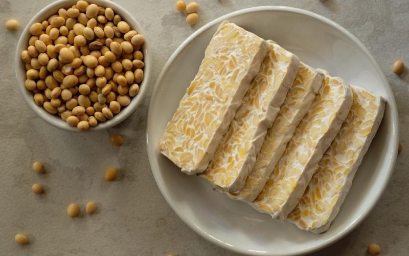 Khám phá cách tự làm tempeh đậu nành bổ dưỡng ngay tại nhà một cách đơn giản và dễ dàng.
