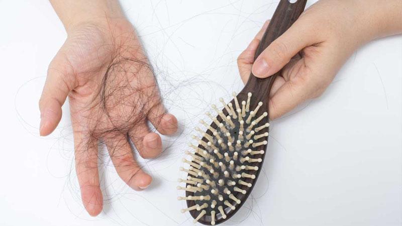 Giữ gìn mái tóc khỏe mạnh, chống lại tóc bạc sớm nhờ hà thủ ô.