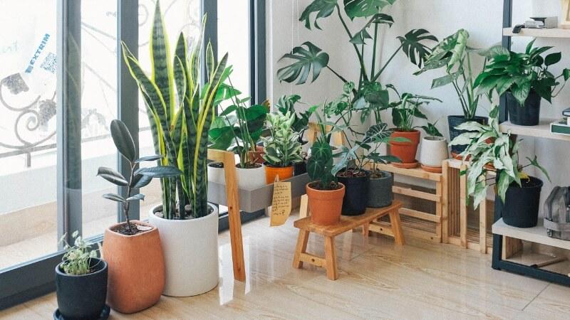 10 món quà tân gia ý nghĩa và thiết thực, mang đến sự may mắn và phúc lộc cho gia chủ.
