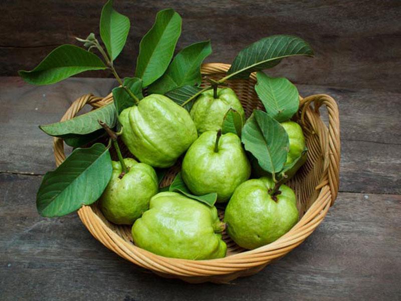 Khám phá những thực phẩm giàu vitamin C bạn nên bổ sung ngay