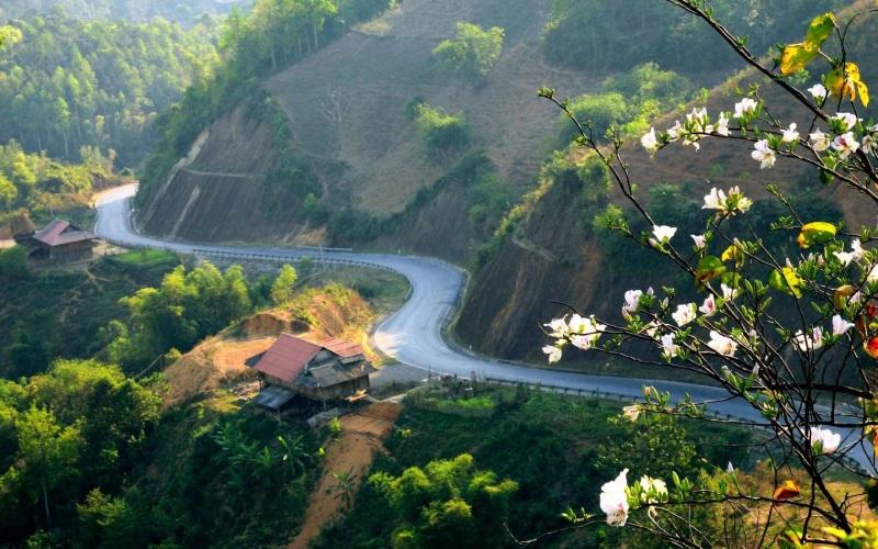 Khám Phá 16 Đặc Sản Điện Biên: Những Món Ngon Đáng Thử Và Mua Về Làm Quà