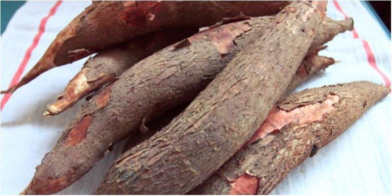 Bột năng và bột củ năng, liệu chúng có giống nhau hay có sự khác biệt rõ rệt? Hãy cùng khám phá.