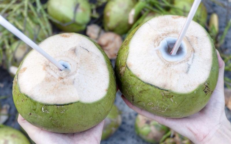 Nước dừa là thức uống tuyệt vời giúp giải nhiệt, nhưng một số đối tượng cần tránh sử dụng loại nước này vì những lý do sức khỏe đặc biệt.
