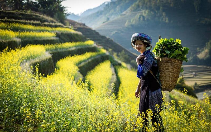 Khám phá đặc sản Tây Bắc: Top 15 món ngon không thể bỏ qua và mua làm quà tặng