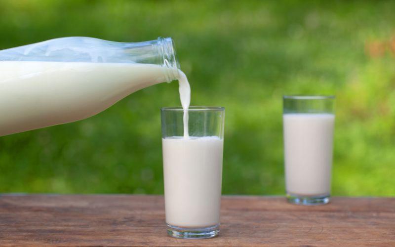 Bà bầu có thể uống sữa tươi không đường hay không?
