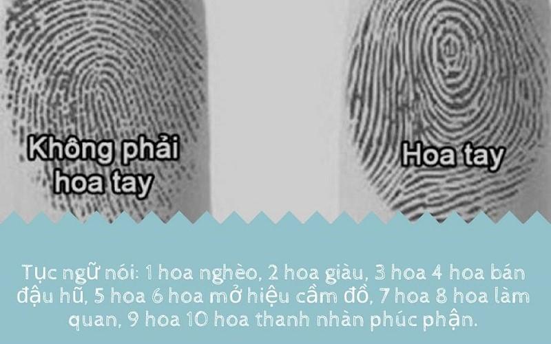 Hoa tay là gì? Cùng khám phá cách mà dấu vân tay này phản ánh tính cách và vận mệnh mỗi người.