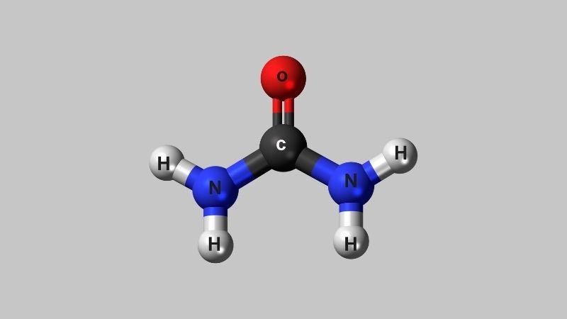Urea là gì? Tác dụng tuyệt vời của Urea trong mỹ phẩm dưỡng da là gì?
