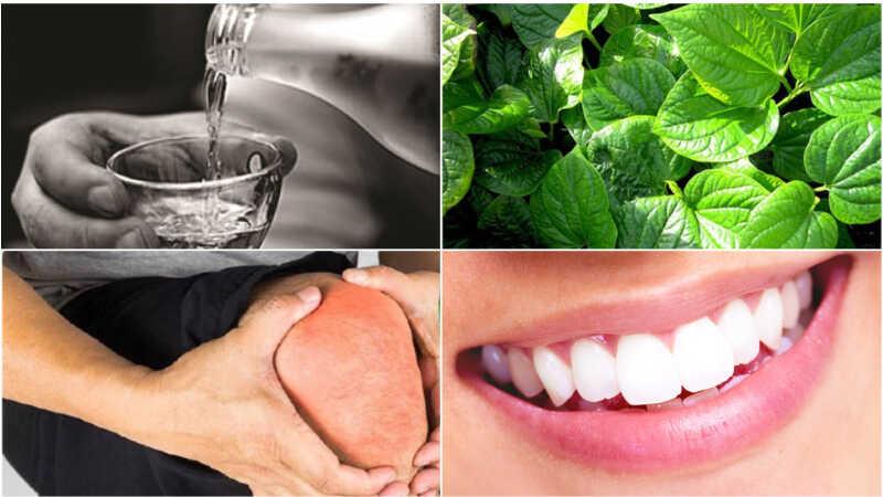 Lá Lốt ngâm rượu có những tác dụng tuyệt vời nào đối với sức khỏe? Cách chế biến lá Lốt ngâm rượu ra sao? Hãy cùng khám phá những thông tin thú vị ngay trong bài viết này.