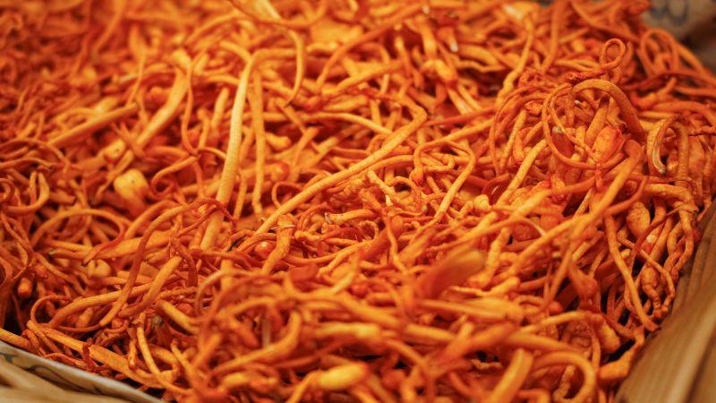 Người mắc bệnh tiểu đường có thể sử dụng đông trùng hạ thảo không?