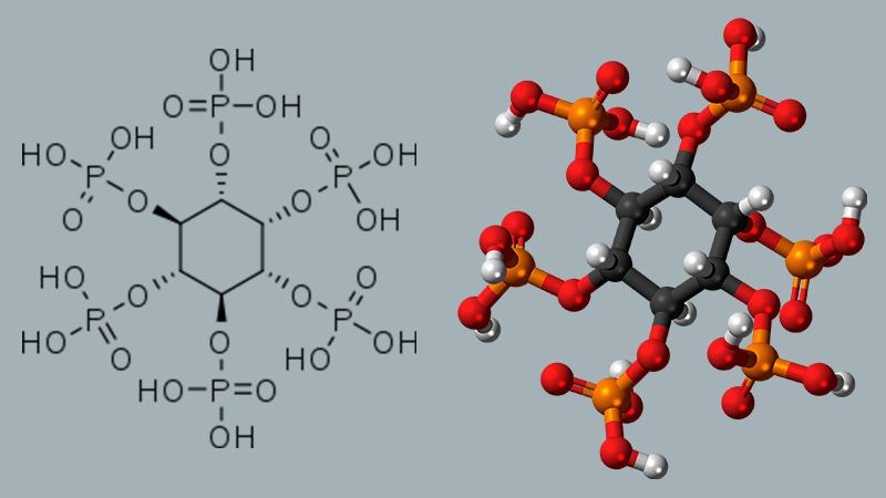 Phytic Acid và tác dụng làm sáng da như thế nào?