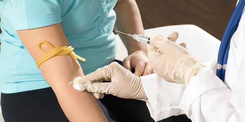 Công dụng của nấm mèo đối với sức khỏe con người