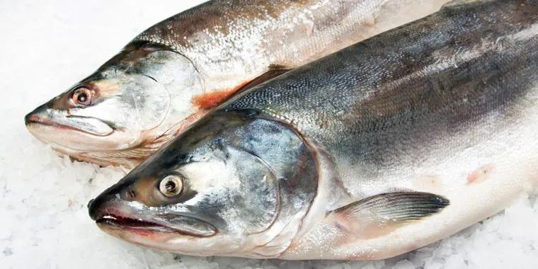 Hướng dẫn chế biến cá hồi đúng chuẩn và những món ngon từ cá hồi