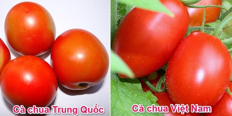 Làm thế nào để nhận diện cà chua nhập khẩu từ Trung Quốc