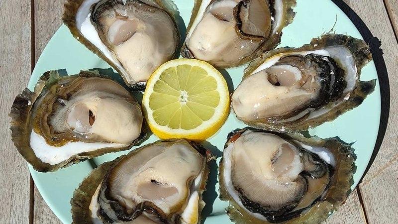 Bà bầu có nên ăn hàu? Những điều cần lưu ý trước khi thưởng thức hàu trong thai kỳ.