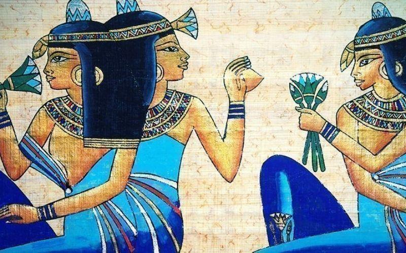 Khám phá nguồn gốc và những công dụng tuyệt vời của hoa sen xanh (blue lotus) đối với sức khỏe của chúng ta.