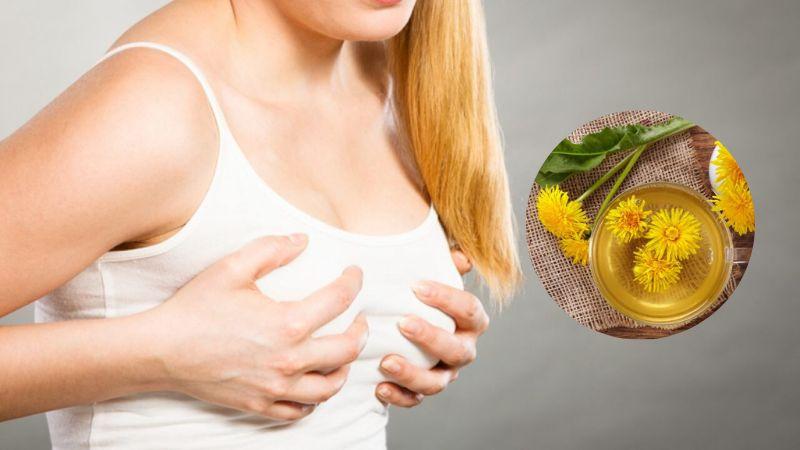 Bí quyết trị tắc tia sữa với 3 loại lá hiệu quả, mẹ bỉm không thể bỏ qua.