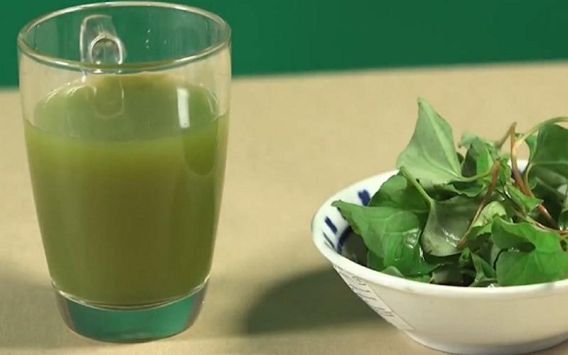 Khám phá cách làm sinh tố diếp cá thơm ngon, bổ dưỡng ngay tại nhà, một lựa chọn tuyệt vời cho sức khỏe.