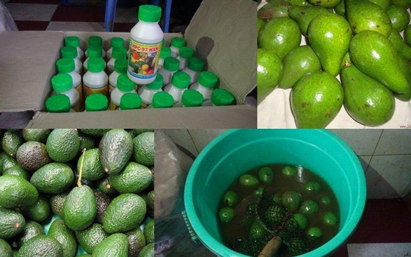 Phương pháp nhận diện bơ bị tẩm hóa chất để thúc đẩy quá trình chín thật sự không quá phức tạp nếu bạn biết những dấu hiệu quan trọng. Cùng khám phá những cách nhận diện bơ hóa chất trong bài viết dưới đây.