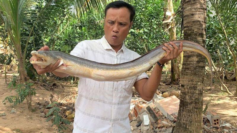 Loài cá đặc sản Phú Yên có kích thước ấn tượng, dài đến cả mét, khiến không ít người phải tò mò. Với giá trị cao, cá này đang trở thành một món ăn đắt đỏ, hấp dẫn nhiều thực khách sành ăn.