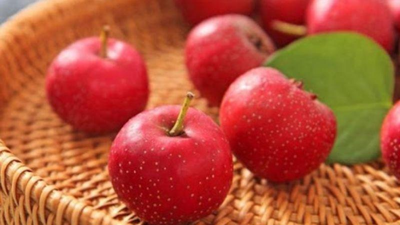 Quả sơn trà là một loại quả đặc biệt với 8 lợi ích sức khỏe tuyệt vời mà bạn có thể chưa từng nghe đến. Hãy cùng khám phá những công dụng bất ngờ mà quả sơn trà mang lại cho cơ thể bạn.