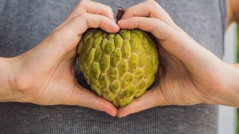 Khám phá bí quyết dễ dàng loại bỏ hạt quả na, mãng cầu ta, đơn giản đến bất ngờ, ai cũng nên thử một lần để trải nghiệm sự tiện lợi này.