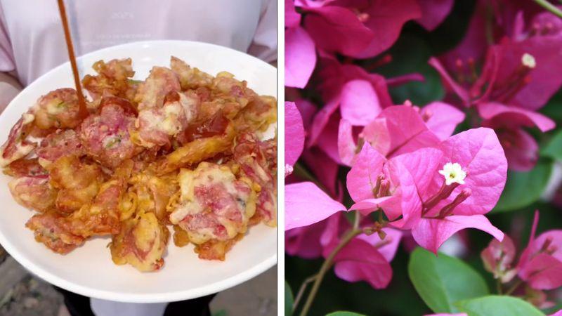 Cách chế biến hoa giấy chiên giòn - món ăn đang làm mưa làm gió trên mạng xã hội