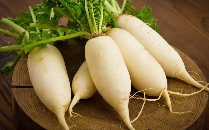 Củ cải trắng là một loại rau củ quen thuộc, mang lại nhiều lợi ích cho sức khỏe. Vậy thực sự củ cải trắng có tác dụng gì, những lưu ý quan trọng khi ăn, và cách chọn củ cải ngon như thế nào? Hãy cùng khám phá qua bài viết dưới đây.