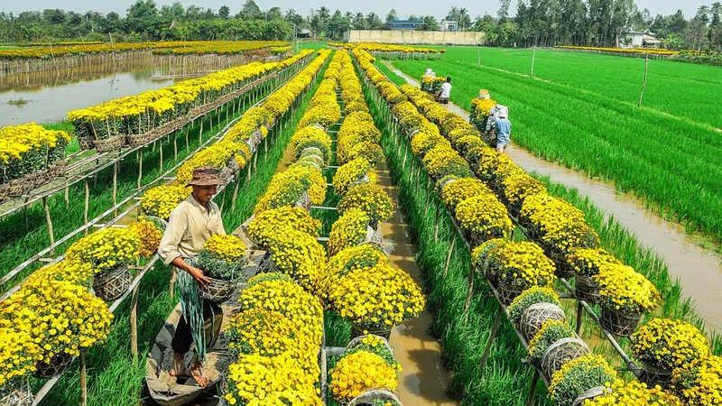 22 điểm du lịch nổi bật tại Đồng Tháp, mỗi nơi đều mang trong mình vẻ đẹp quyến rũ và sức hút riêng biệt, mời gọi du khách khám phá