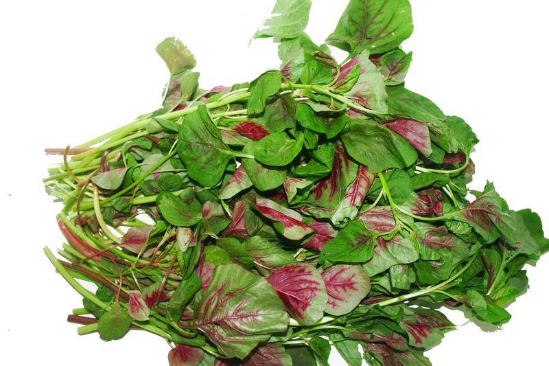 Rau dền - loại rau quen thuộc, dễ tìm mà lại mang đến những lợi ích sức khỏe bất ngờ