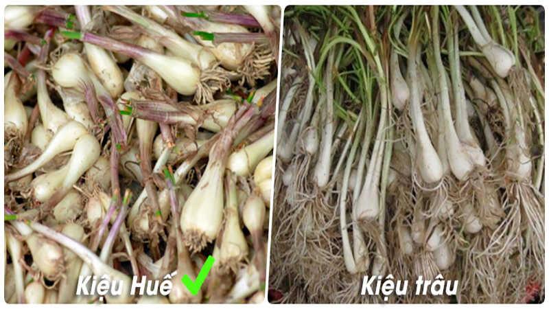 Khám phá phương pháp muối củ kiệu trắng giòn, đậm đà hương vị Tết từ A đến Z