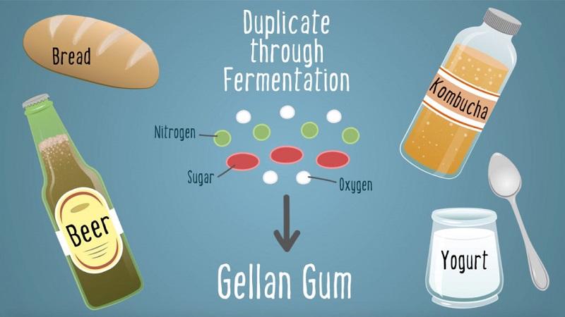 Gellan gum là gì? Khám phá vai trò và tác dụng của gellan gum đối với sức khỏe con người