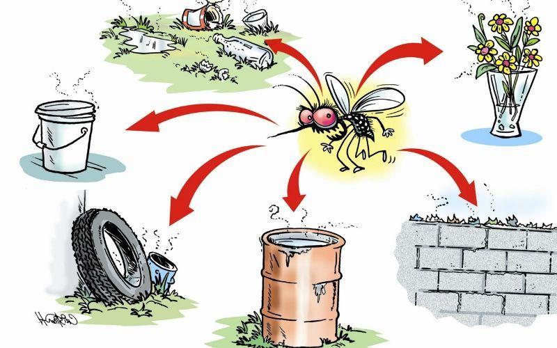 Nghiên cứu khoa học đã chỉ ra rằng việc không giữ vệ sinh sẽ làm gia tăng khả năng muỗi cắn. Liệu điều này có đúng không? Cùng tìm hiểu để khám phá những kết luận khoa học mới nhất.