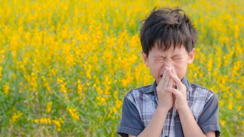 Phương pháp ngăn ngừa dị ứng phấn hoa và lông thú cho trẻ em