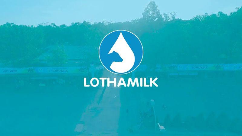 Thạch sữa Lothamilk mang đến cảm giác giòn dai, sần sật, kết hợp hoàn hảo với các hương vị trái cây hấp dẫn.
