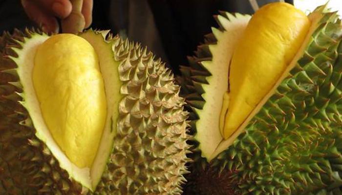 Khám phá các giống sầu riêng nổi bật tại Việt Nam và tìm hiểu đâu là loại sầu riêng thơm ngon nhất.