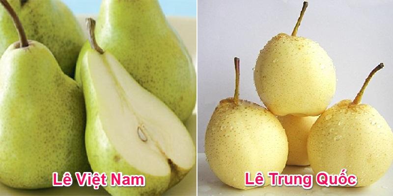 Lê Trung Quốc và lê Việt Nam có những dấu hiệu nhận biết rõ rệt mà bạn có thể dễ dàng phân biệt để lựa chọn được những quả lê an toàn cho gia đình và sức khỏe bản thân.