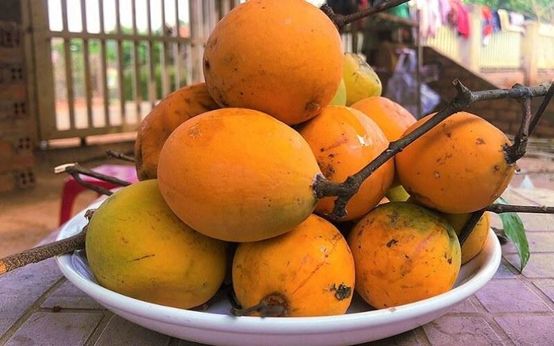 Khám phá một loại trái rừng lạ lẫm, tuy tên gọi có vẻ xa lạ nhưng lại là đặc sản quý giá của những vùng đất cao nguyên.